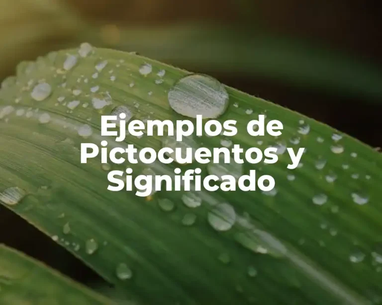 Ejemplos de Pictocuentos y Significado