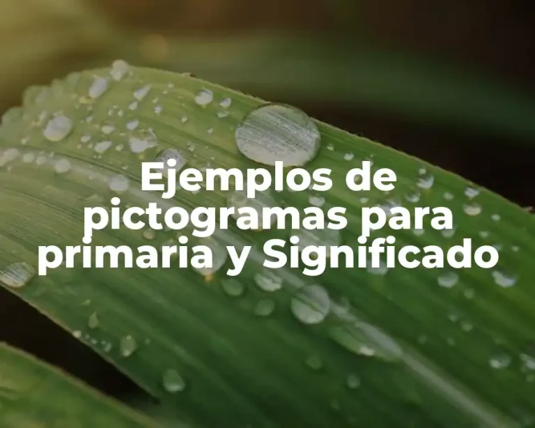 Ejemplos de pictogramas para primaria y Significado