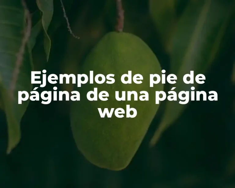 Ejemplos de pie de página de una página web