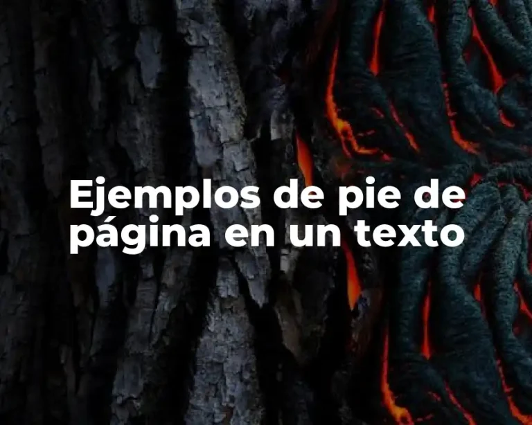 Ejemplos de pie de página en un texto