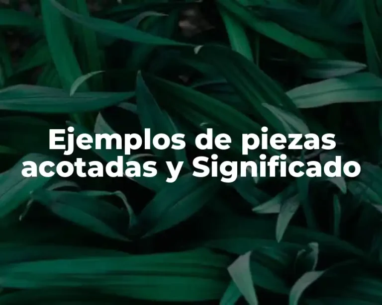 Ejemplos de piezas acotadas y Significado