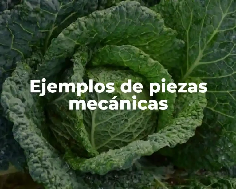 Ejemplos de piezas mecánicas