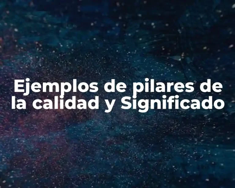 Ejemplos de pilares de la calidad y Significado