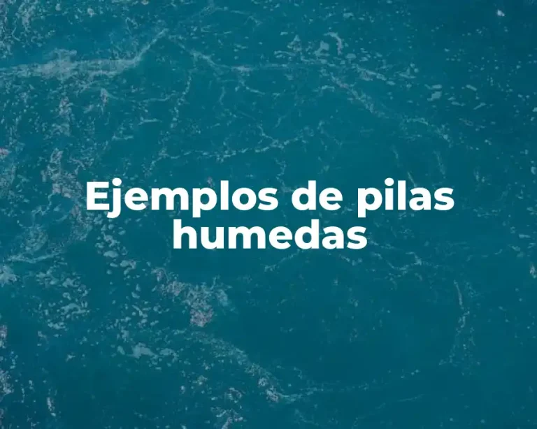 Ejemplos de pilas humedas
