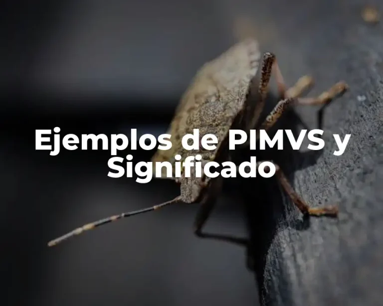 Ejemplos de PIMVS y Significado