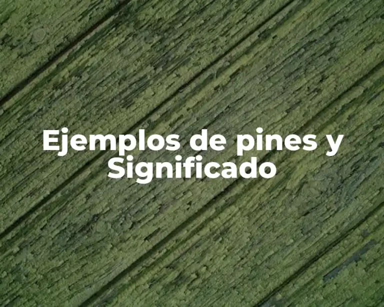 Ejemplos de pines y Significado