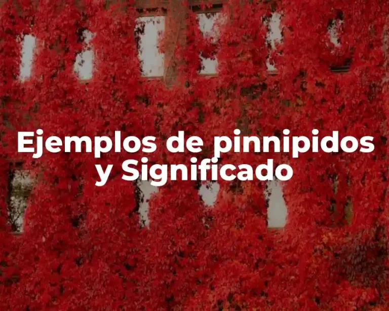 Ejemplos de pinnipidos y Significado