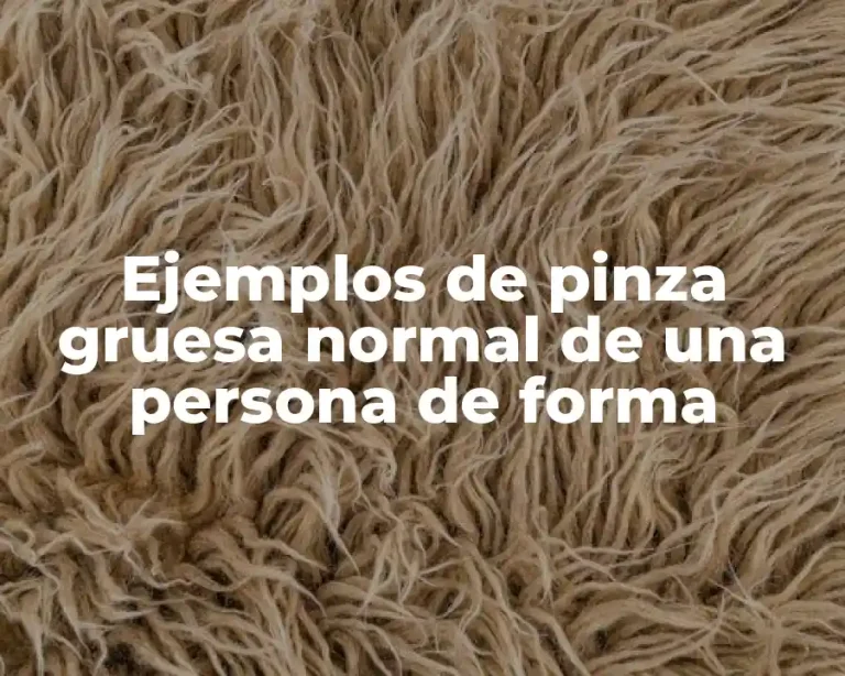 Ejemplos de pinza gruesa normal de una persona de forma