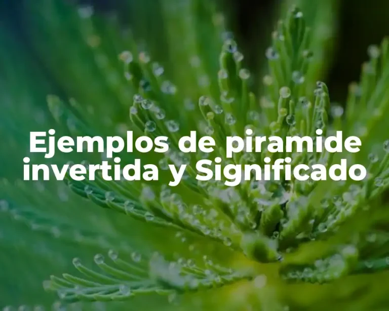 Ejemplos de piramide invertida y Significado