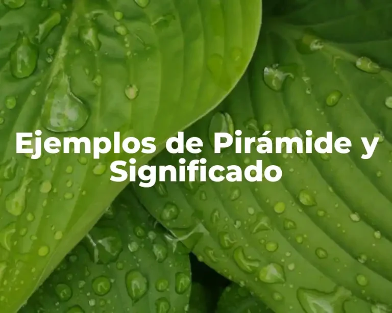 Ejemplos de Pirámide y Significado