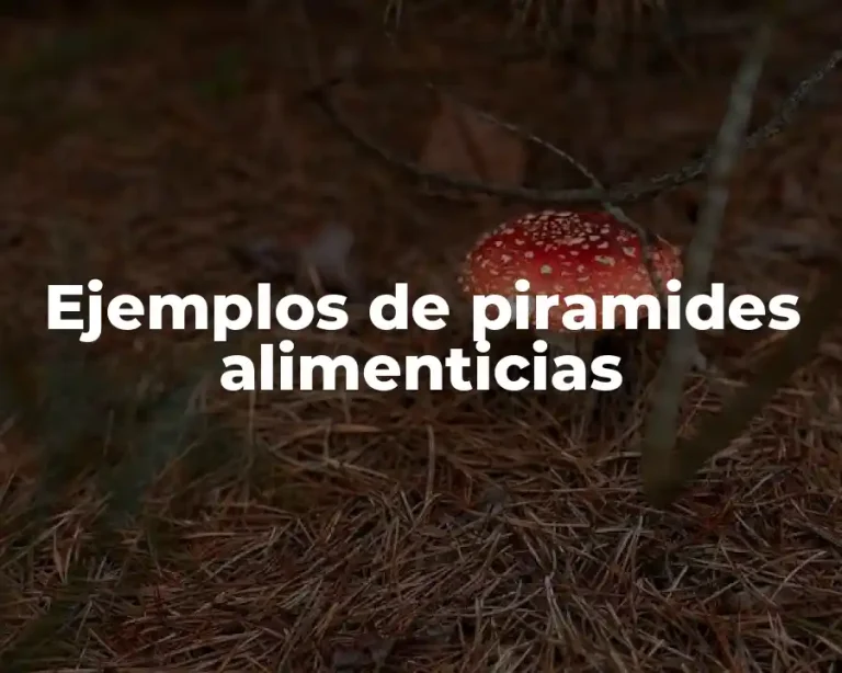 Ejemplos de piramides alimenticias