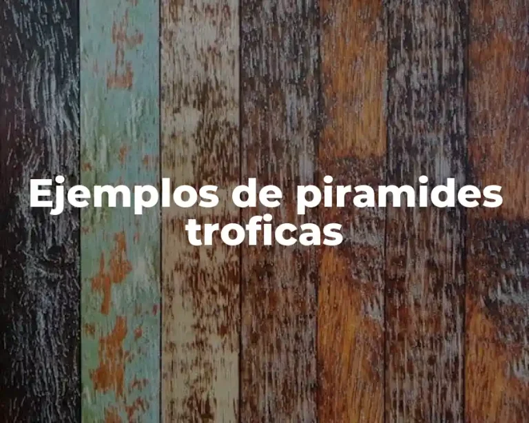Ejemplos de piramides troficas