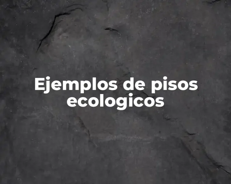 Ejemplos de pisos ecologicos