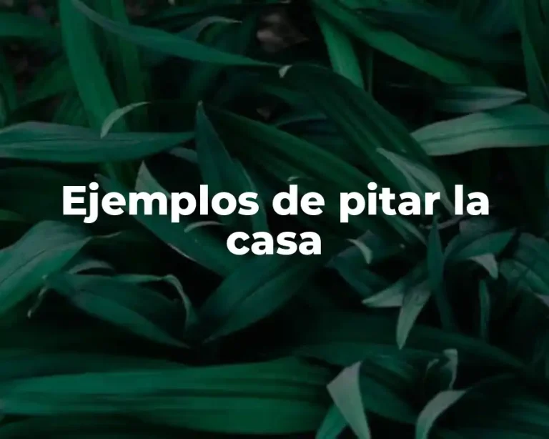 Ejemplos de pitar la casa