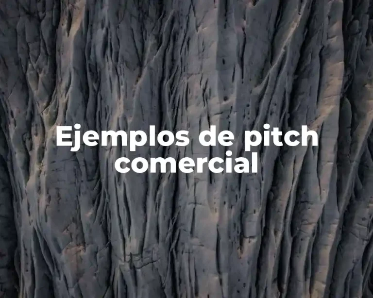 Ejemplos de pitch comercial