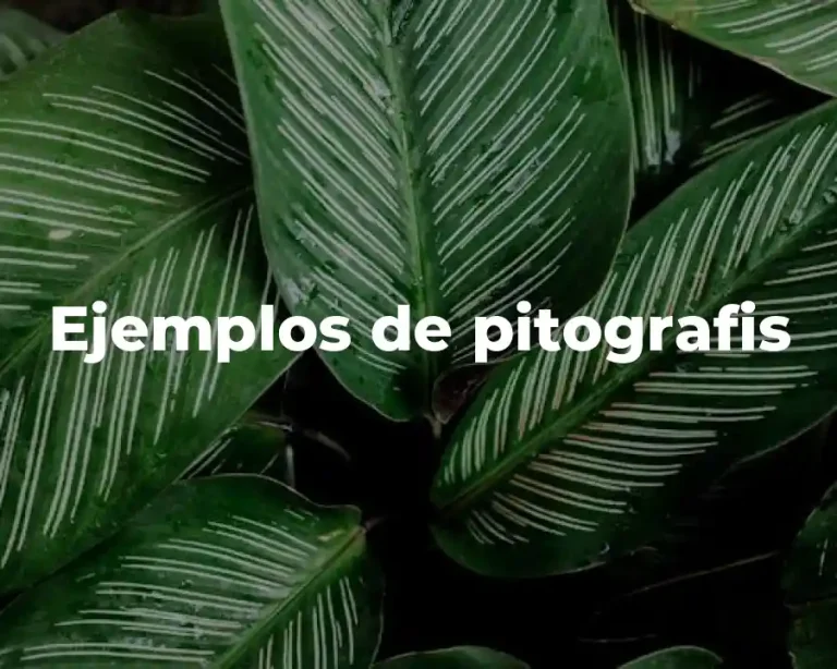 Ejemplos de pitografis