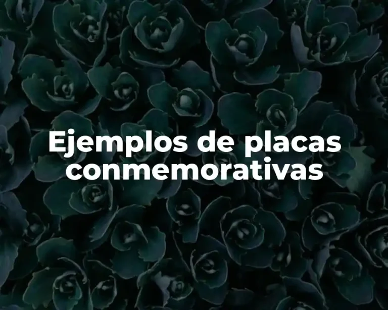Ejemplos de placas conmemorativas