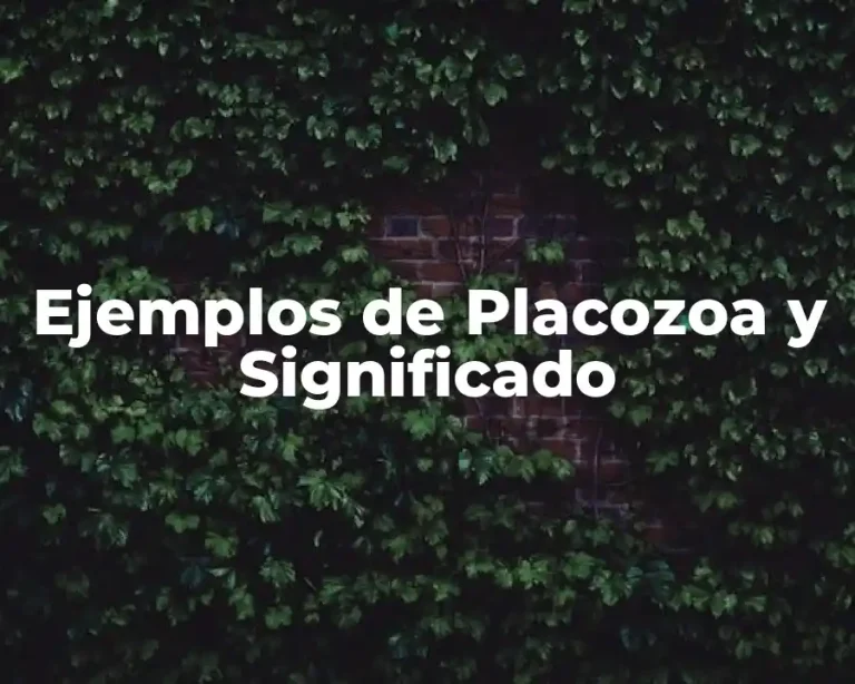 Ejemplos de Placozoa y Significado
