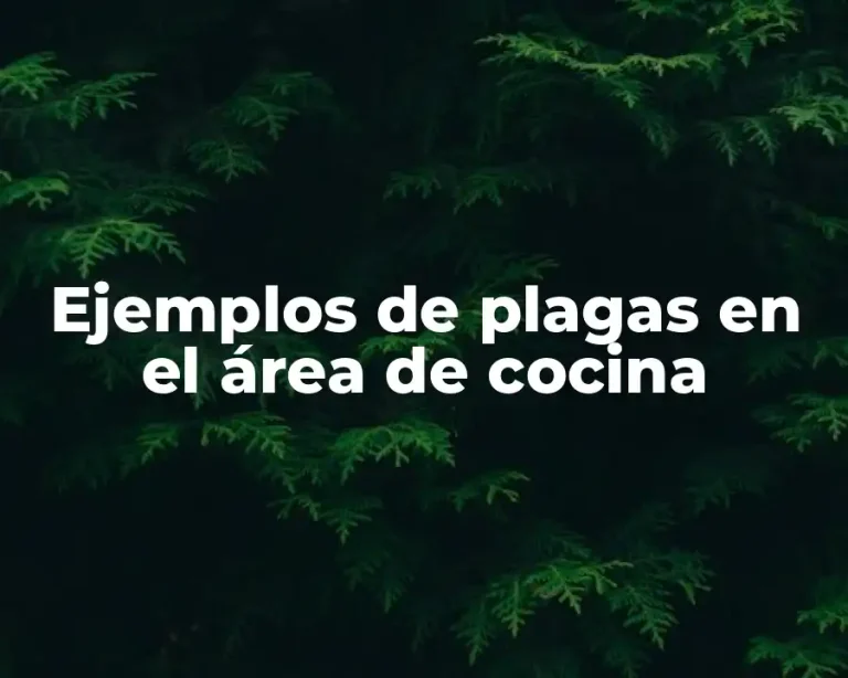 Ejemplos de plagas en el área de cocina