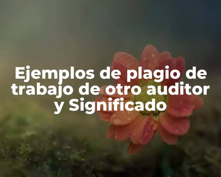 Ejemplos de plagio de trabajo de otro auditor y Significado