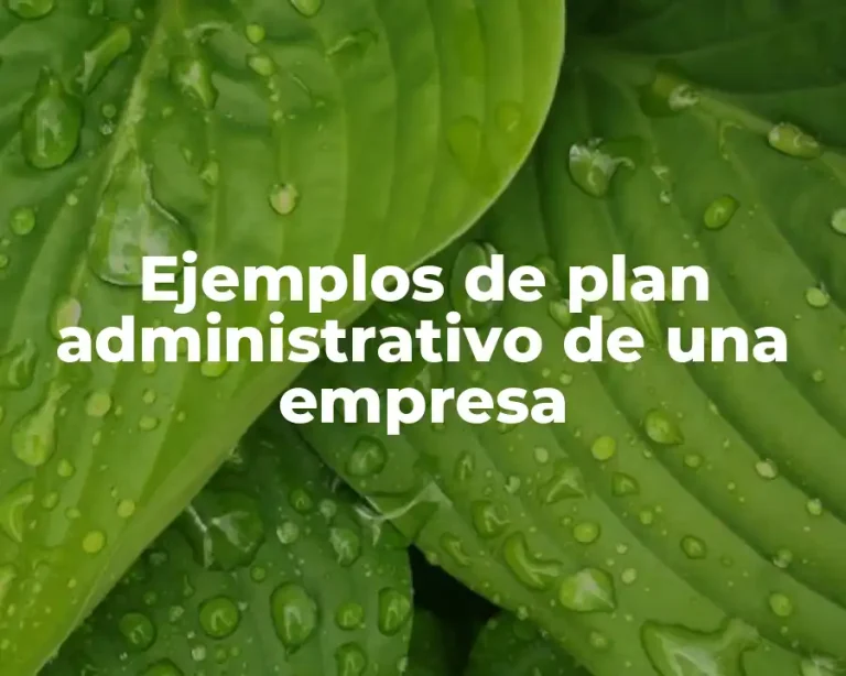 Ejemplos de plan administrativo de una empresa