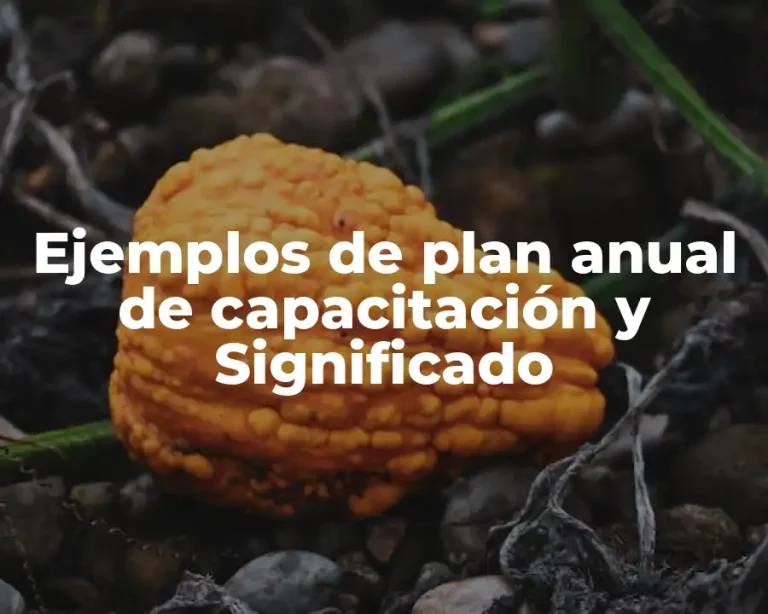 Ejemplos de plan anual de capacitación y Significado