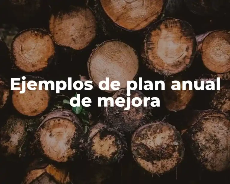 Ejemplos de plan anual de mejora