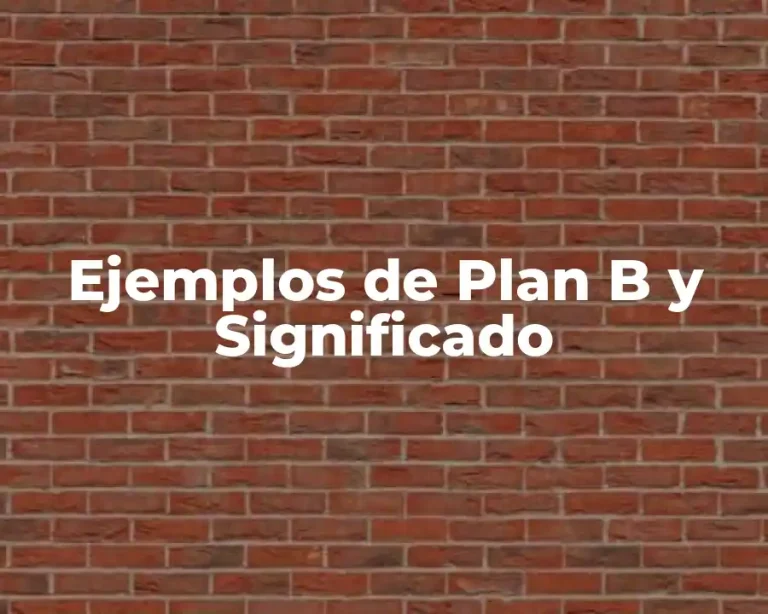 Ejemplos de Plan B y Significado