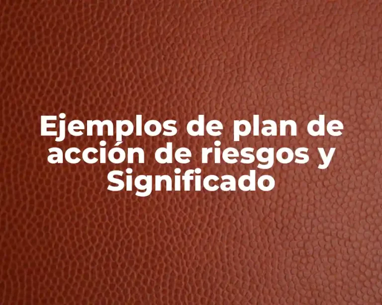 Ejemplos de plan de acción de riesgos y Significado