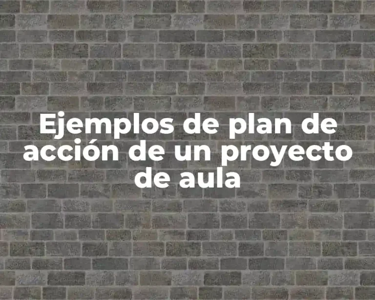 Ejemplos de plan de acción de un proyecto de aula