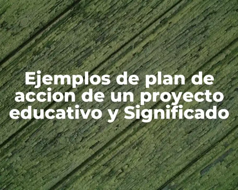 Ejemplos de plan de accion de un proyecto educativo y Significado