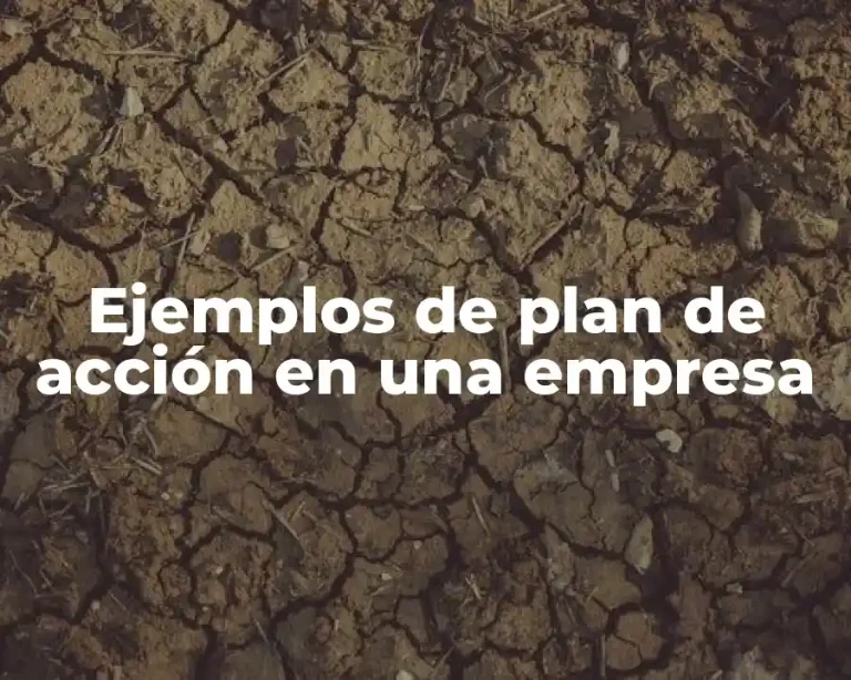 Ejemplos de plan de acción en una empresa