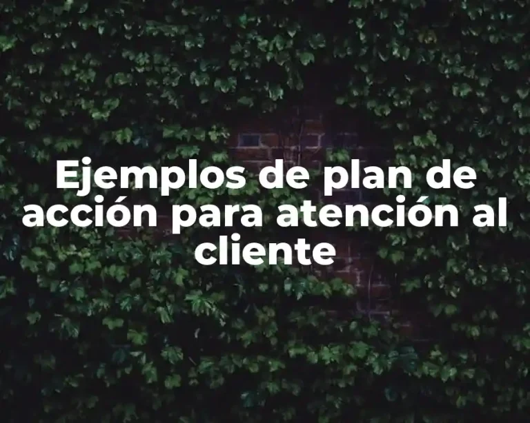 Ejemplos de plan de acción para atención al cliente
