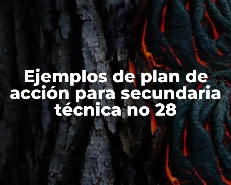 Ejemplos de plan de acción para secundaria técnica no 28
