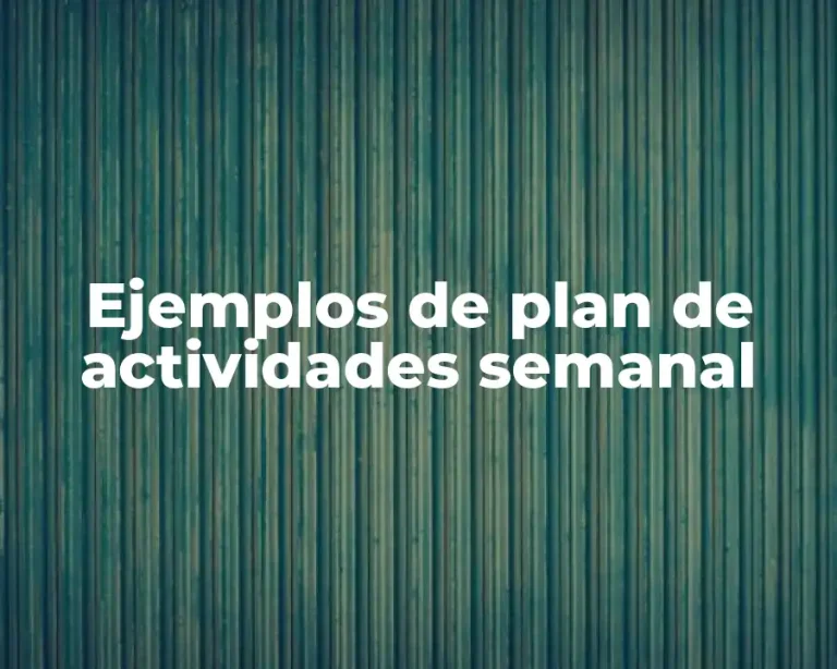 Ejemplos de plan de actividades semanal