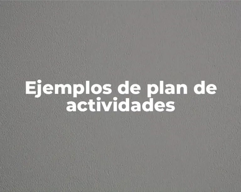 Ejemplos de plan de actividades
