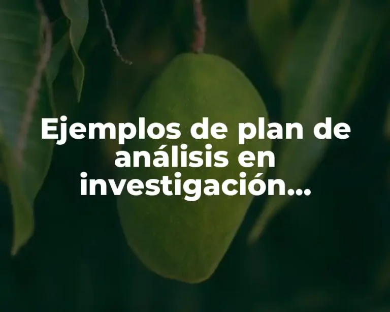 Ejemplos de plan de análisis en investigación cuantitativa