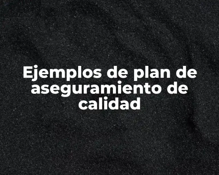 Ejemplos de plan de aseguramiento de calidad