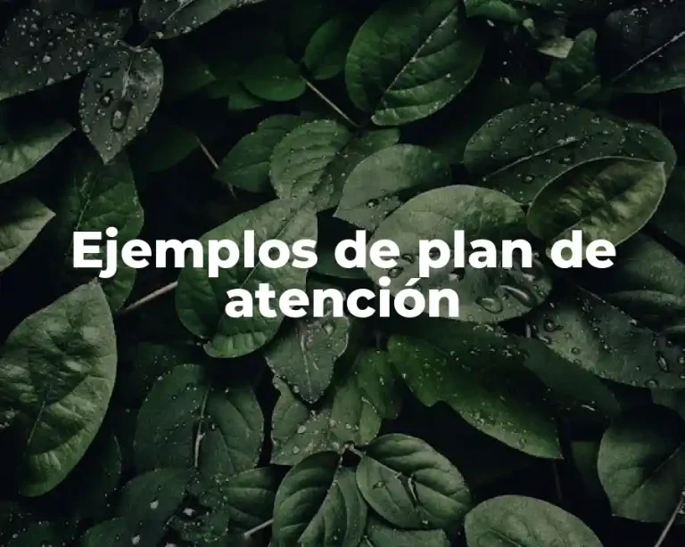 Ejemplos de plan de atención