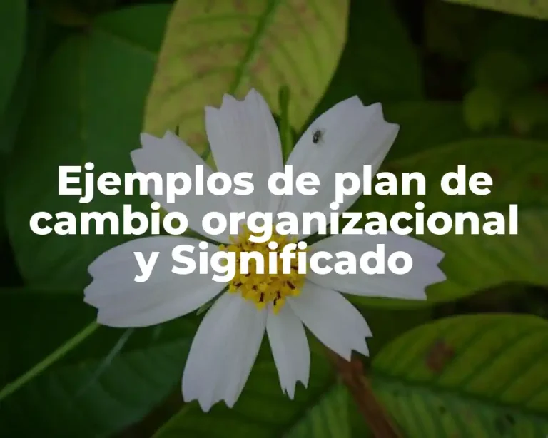 Ejemplos de plan de cambio organizacional y Significado
