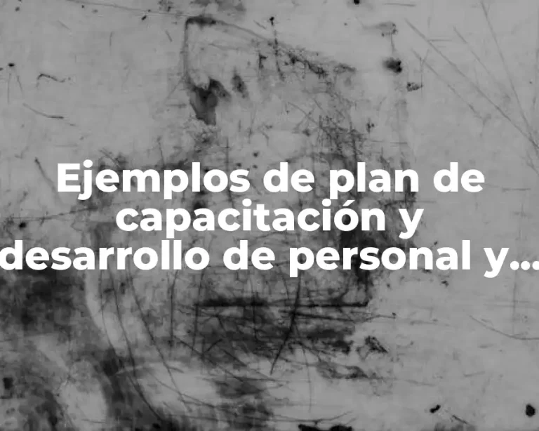 Ejemplos de plan de capacitación y desarrollo de personal y Significado