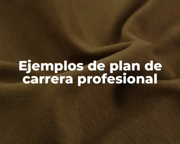 Ejemplos de plan de carrera profesional