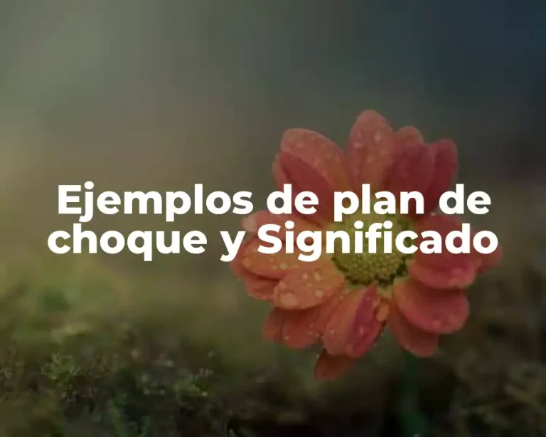 Ejemplos de plan de choque y Significado