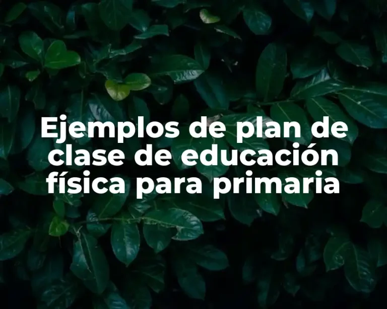 Ejemplos de plan de clase de educación física para primaria