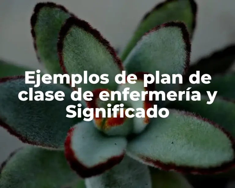 Ejemplos de plan de clase de enfermería y Significado