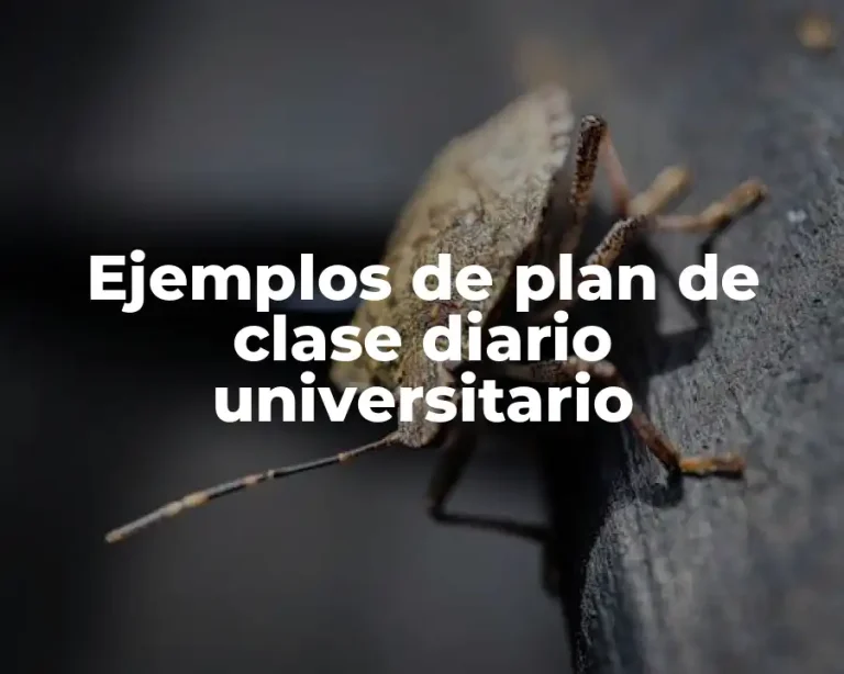 Ejemplos de plan de clase diario universitario