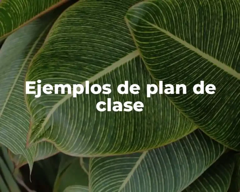 Ejemplos de plan de clase