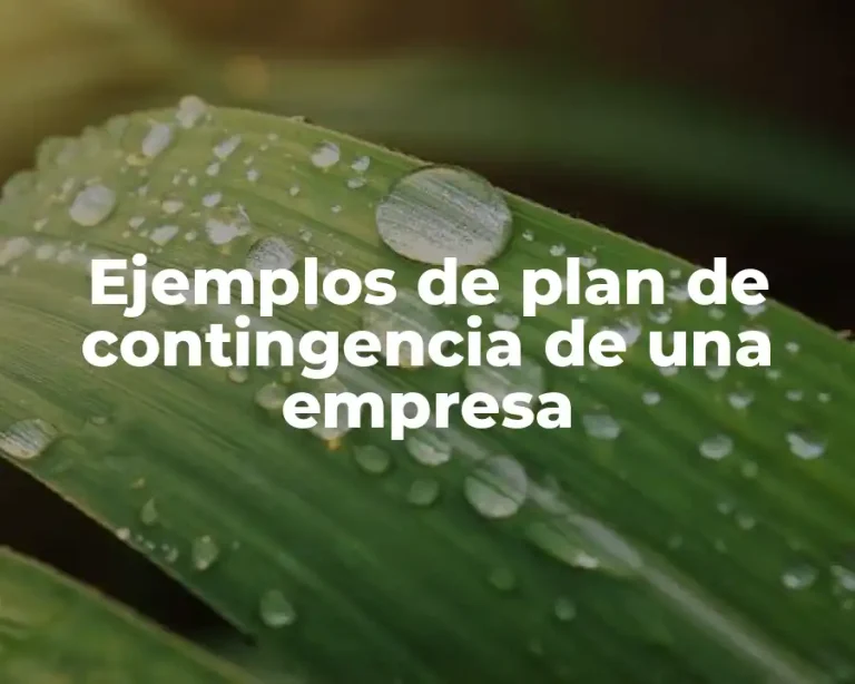 Ejemplos de plan de contingencia de una empresa