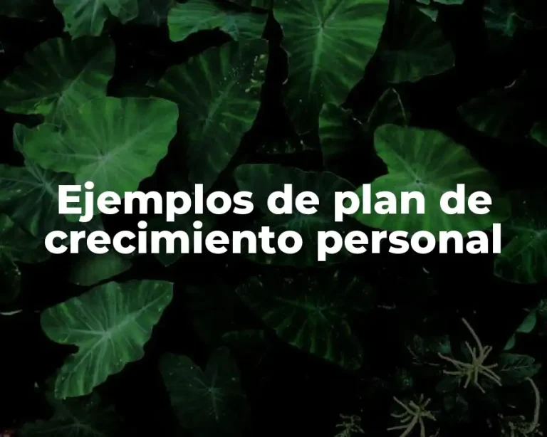 Ejemplos de plan de crecimiento personal
