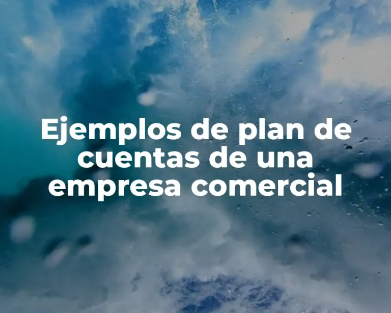 Ejemplos de plan de cuentas de una empresa comercial